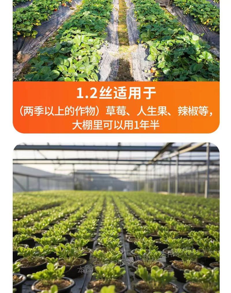 农用银黑地膜防草防虫保湿恒温上色大棚瓜果蔬菜辣椒专用地膜