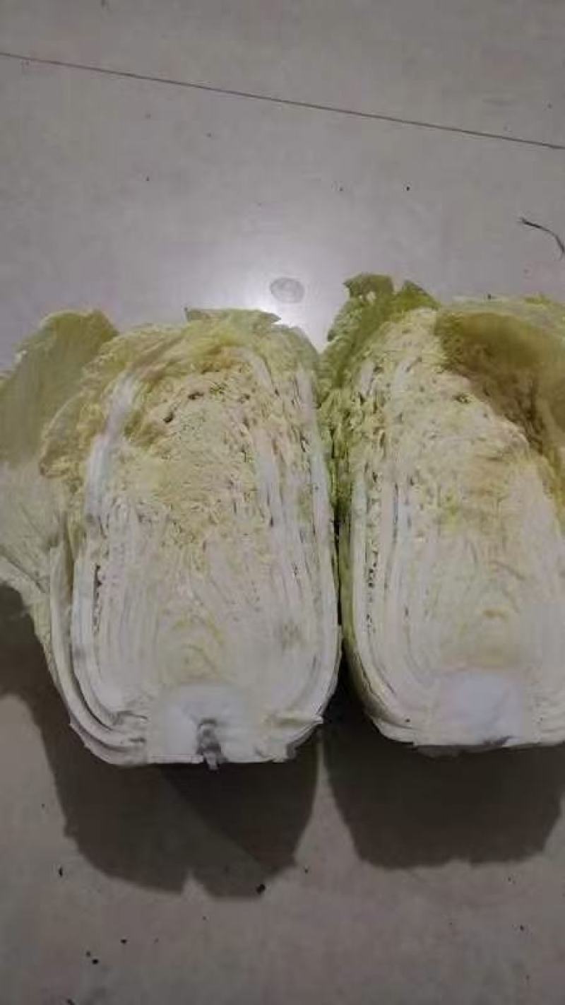 大白菜