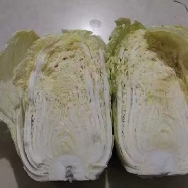 大白菜