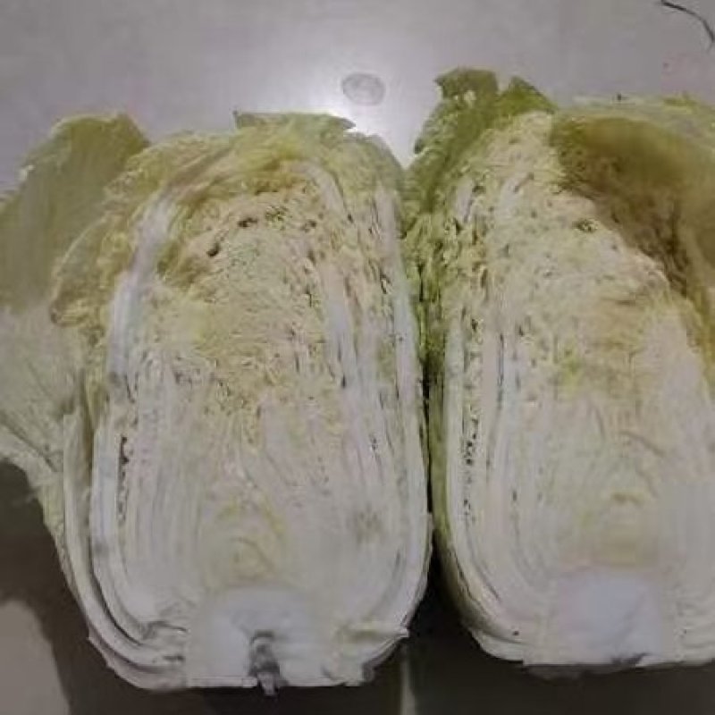 大白菜