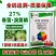 春雷溴菌腈炭疽病细菌角斑病蔓枯病青枯病溃疡病立枯病药