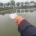 大闸蟹