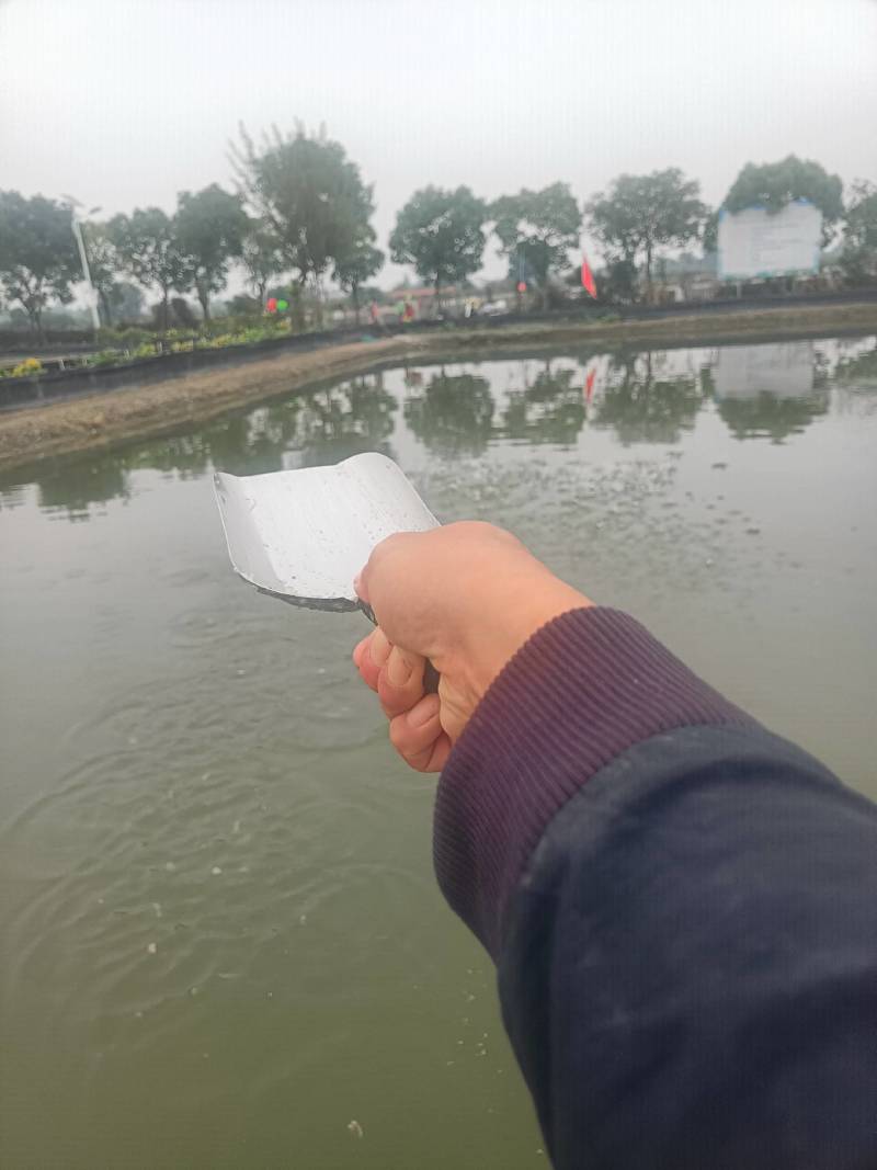 大闸蟹