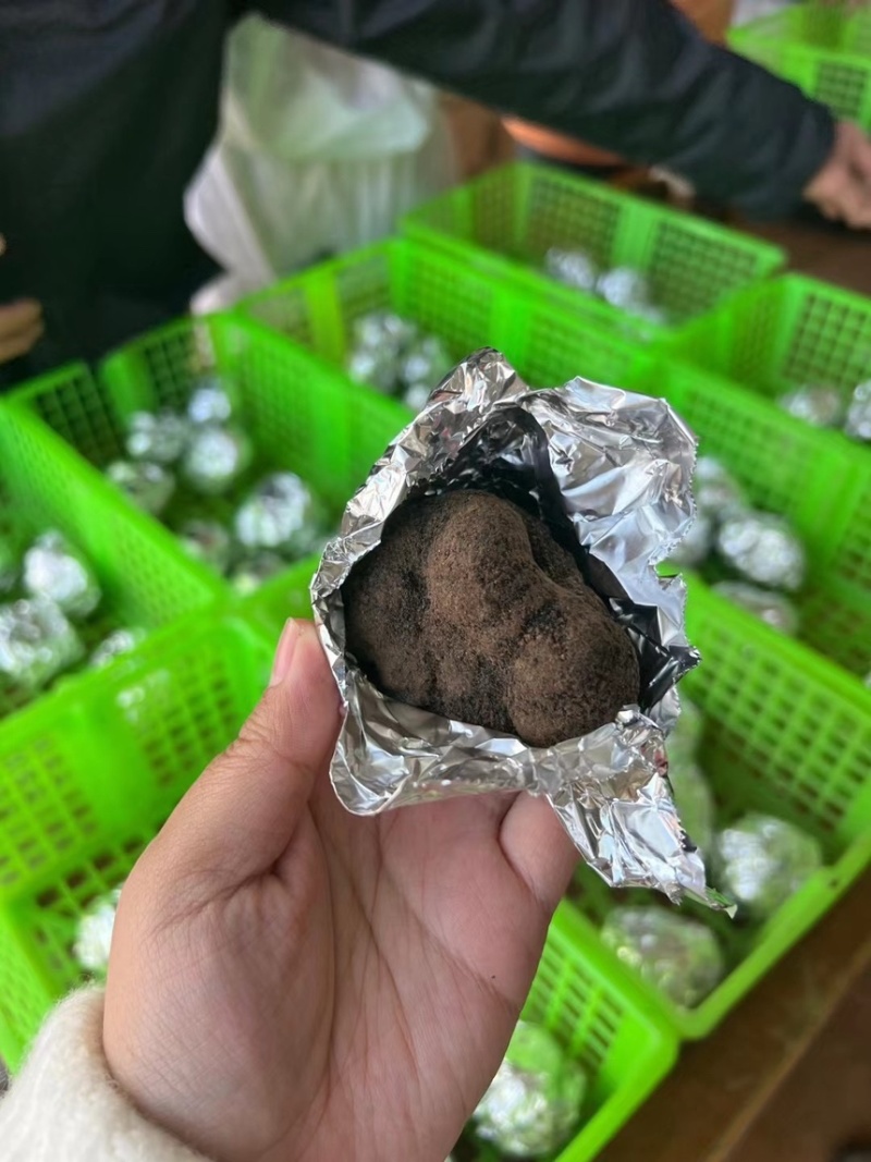 黑松露鲜松露云南松露贡山松露香格里拉新新鲜松露
