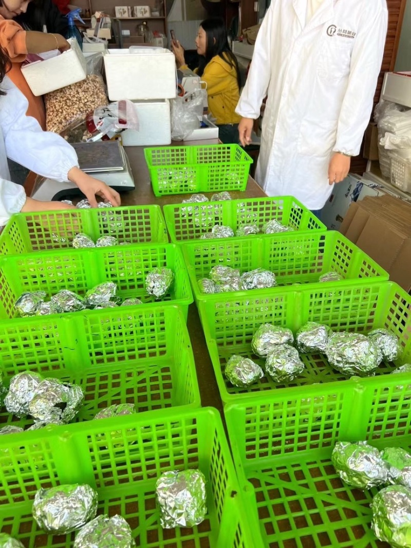 黑松露鲜松露云南松露贡山松露香格里拉新新鲜松露