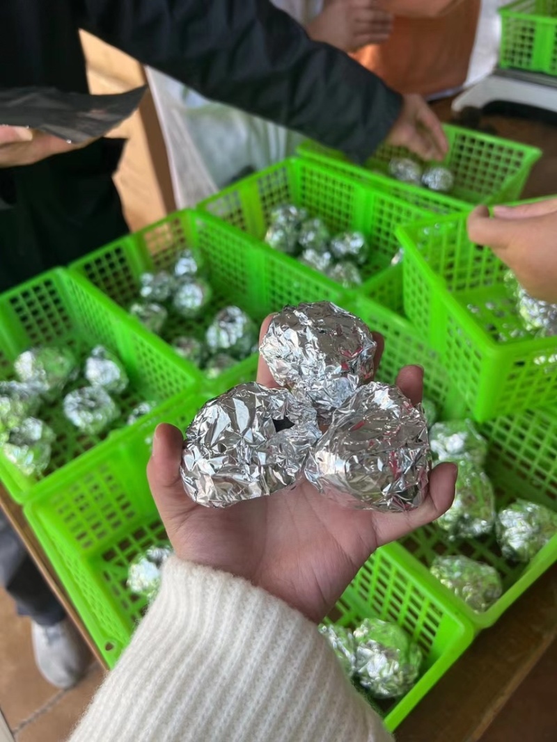 黑松露鲜松露云南松露贡山松露香格里拉新新鲜松露