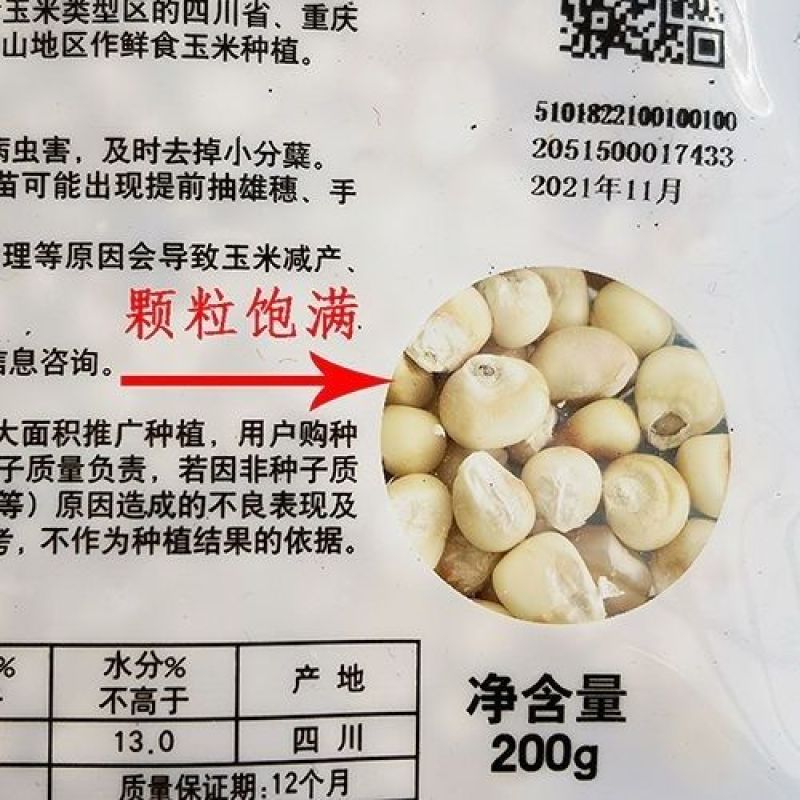 海迈非转基因香甜种子国审鲜食玉米甜加糯基地大田玉米种孑糯