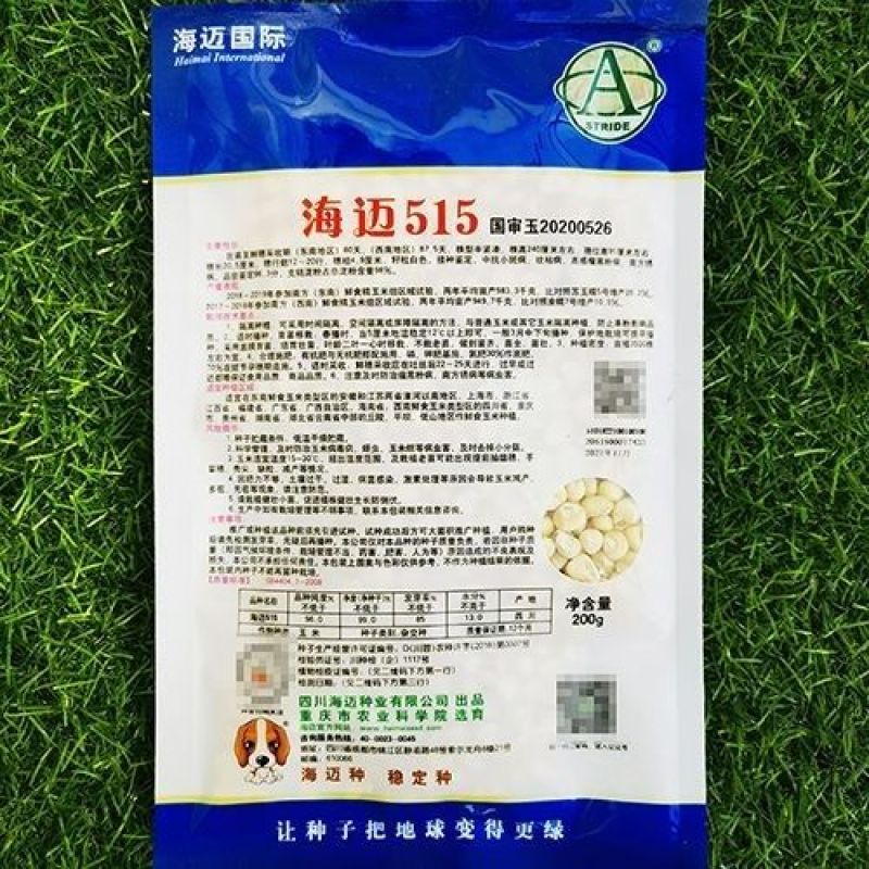 海迈非转基因香甜种子国审鲜食玉米甜加糯基地大田玉米种孑糯