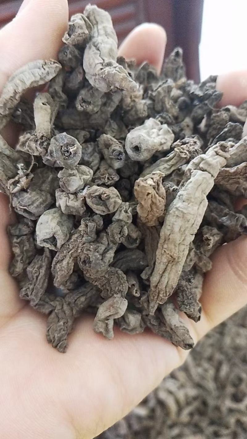 野生巴戟干货大山深处出外自然生长的蒸制巴戟天