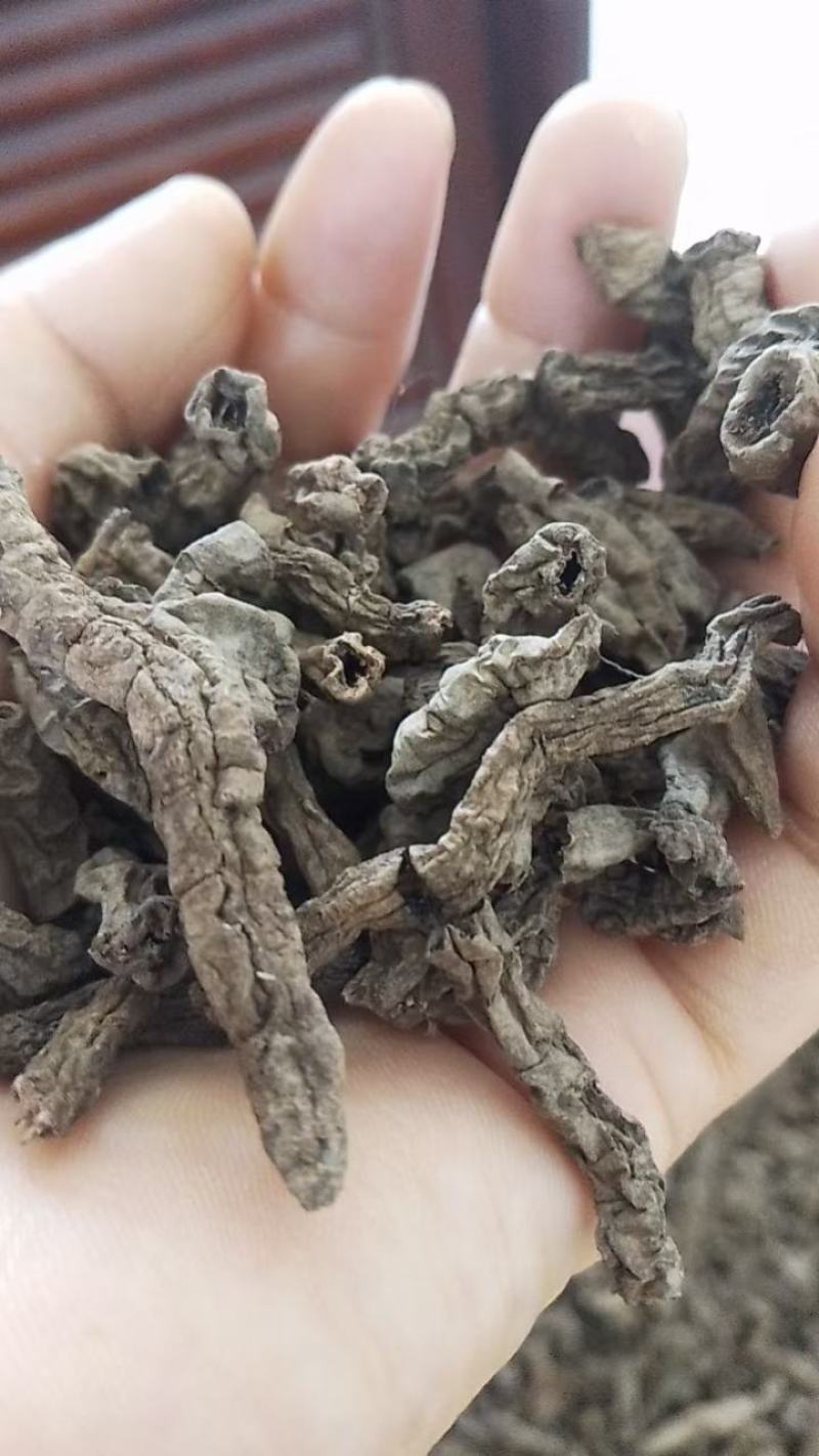 野生巴戟干货大山深处出外自然生长的蒸制巴戟天
