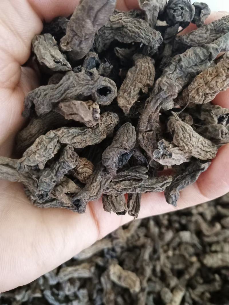 野生巴戟干货大山深处出外自然生长的蒸制巴戟天