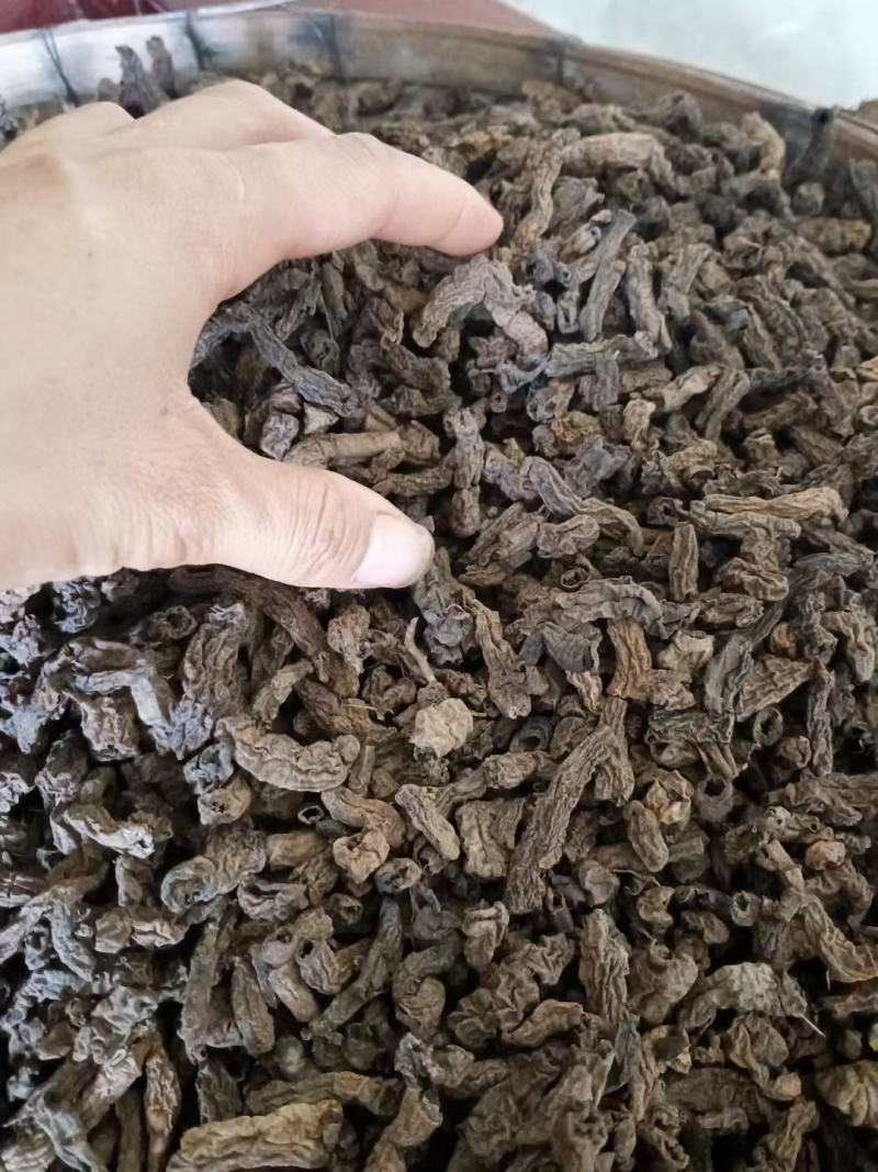 野生巴戟干货大山深处出外自然生长的蒸制巴戟天
