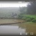活水鱼