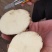 大西洋土豆淀粉高不糠心规格齐全品种丰富有场地有工人备货快
