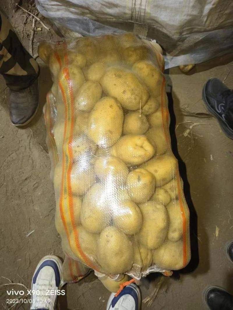 呼伦贝尔实验一三优货产地供货一手价格质优价廉