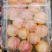 陕西条纹红富士大量上市果面干净品质保证欢迎来电咨询