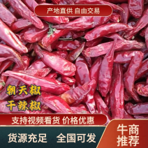【干辣椒】河南开封通许干辣椒自然晒干香辣味货量大承接商超