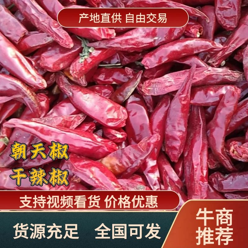 【干辣椒】河南开封通许干辣椒自然晒干香辣味货量大承接商超
