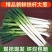 【山东大葱】铁杆大葱产地一手货源，量大从优，对接全国客商