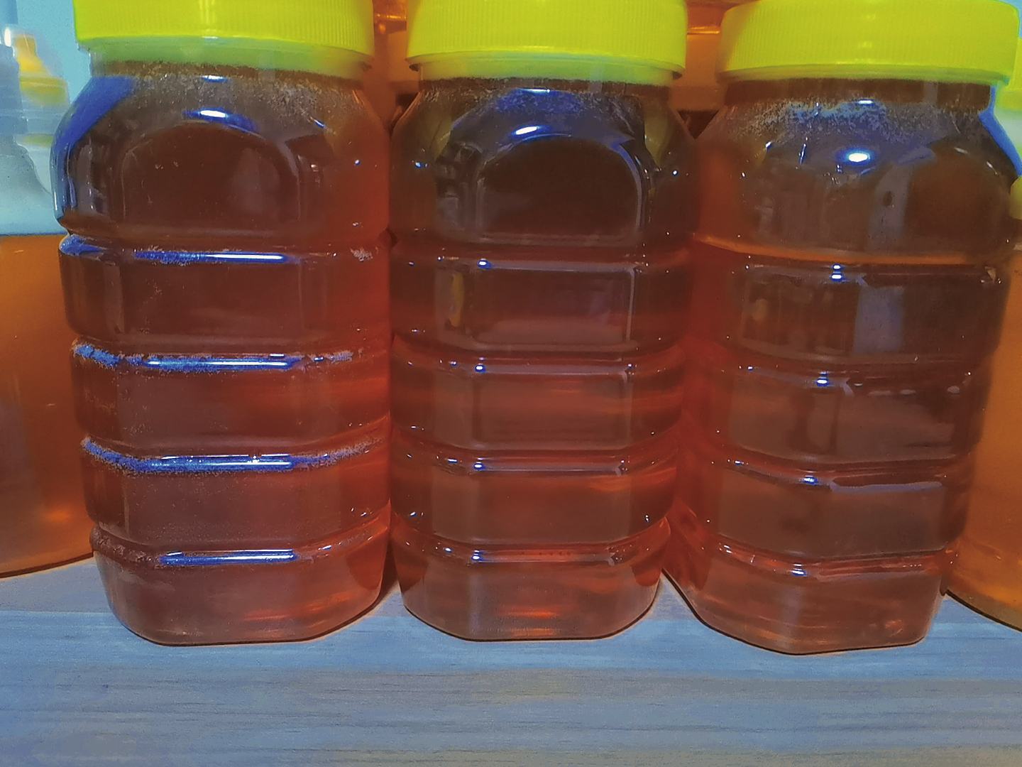 三只相同的透明试管分别装有精制蜂蜜、过滤蜂蜜和原始生蜜,放置在同一白色背景板上,可见生蜜泡沫最密集且持久,精制蜂蜜几乎无泡,用于直观展示不同类型蜂蜜的起泡差异 对比展示三种不同类型蜂蜜的泡沫状态