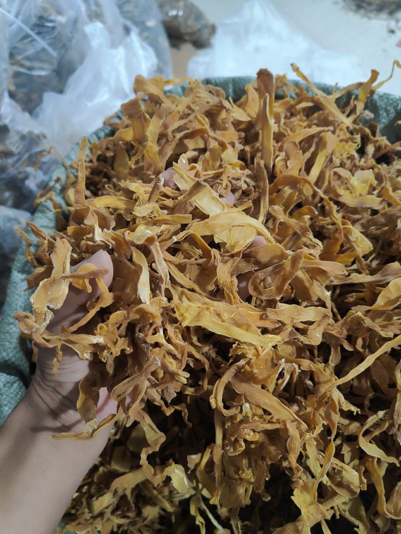 云南思茅笋干_笋丝_手指粗