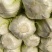 大白菜黄心白菜大量供应，质优价廉欢迎各位客商光临选购