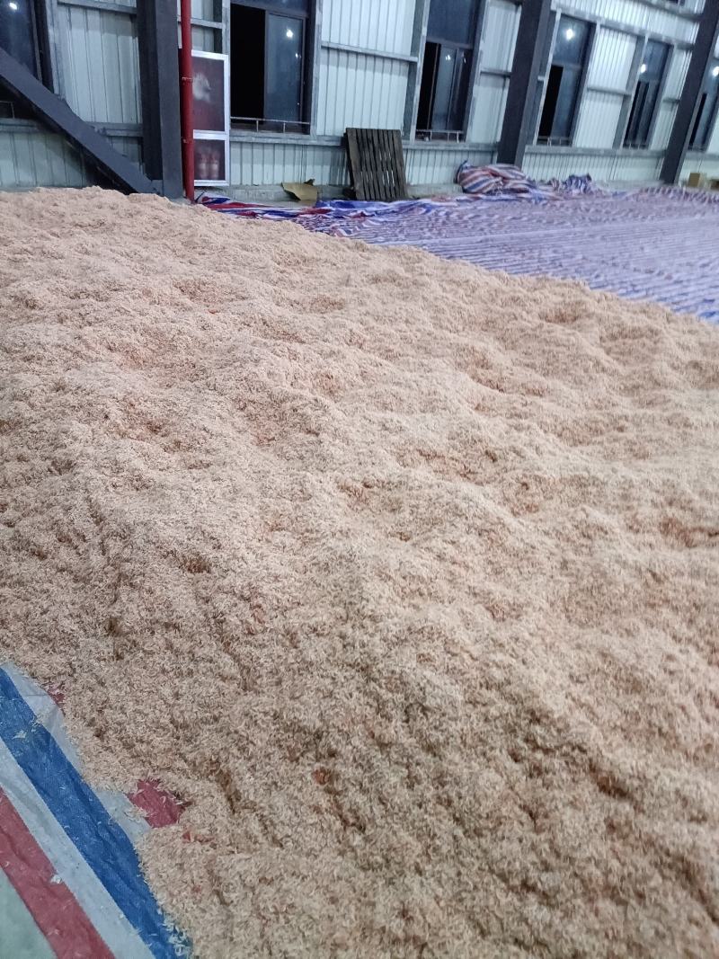 东海虾皮批发，一手货源