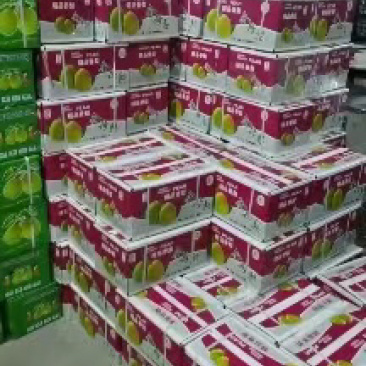 香梨礼盒装量大从优产地直发品质保证