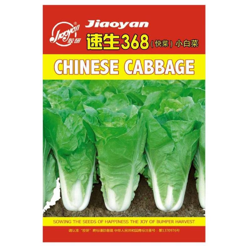 奶油快菜种子四季快速生耐热耐湿小白菜阳台盆栽理想