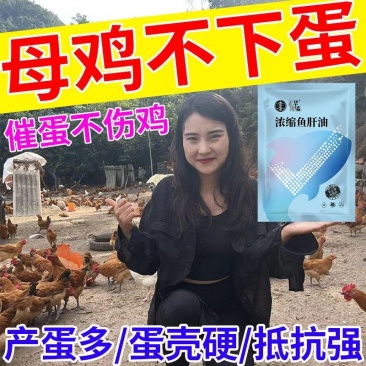 鸡下蛋饲料催蛋添加剂母鸡下蛋王鸡鸭鹅通用禽用产下蛋多多增