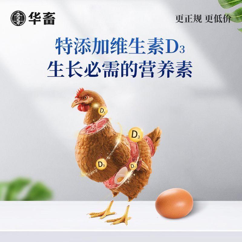 鸡下蛋饲料催蛋添加剂母鸡下蛋王鸡鸭鹅通用禽用产下蛋多多增