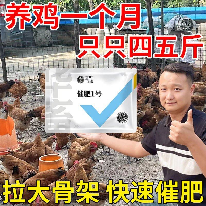 畜牧专用颗粒鸡鸭鹅干吃不长膘不吃健脾开胃快速脱僵催肥猛长