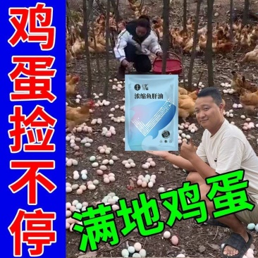 鸡下蛋饲料催蛋添加剂母鸡下蛋王鸡鸭鹅禽用产下蛋多多增蛋素