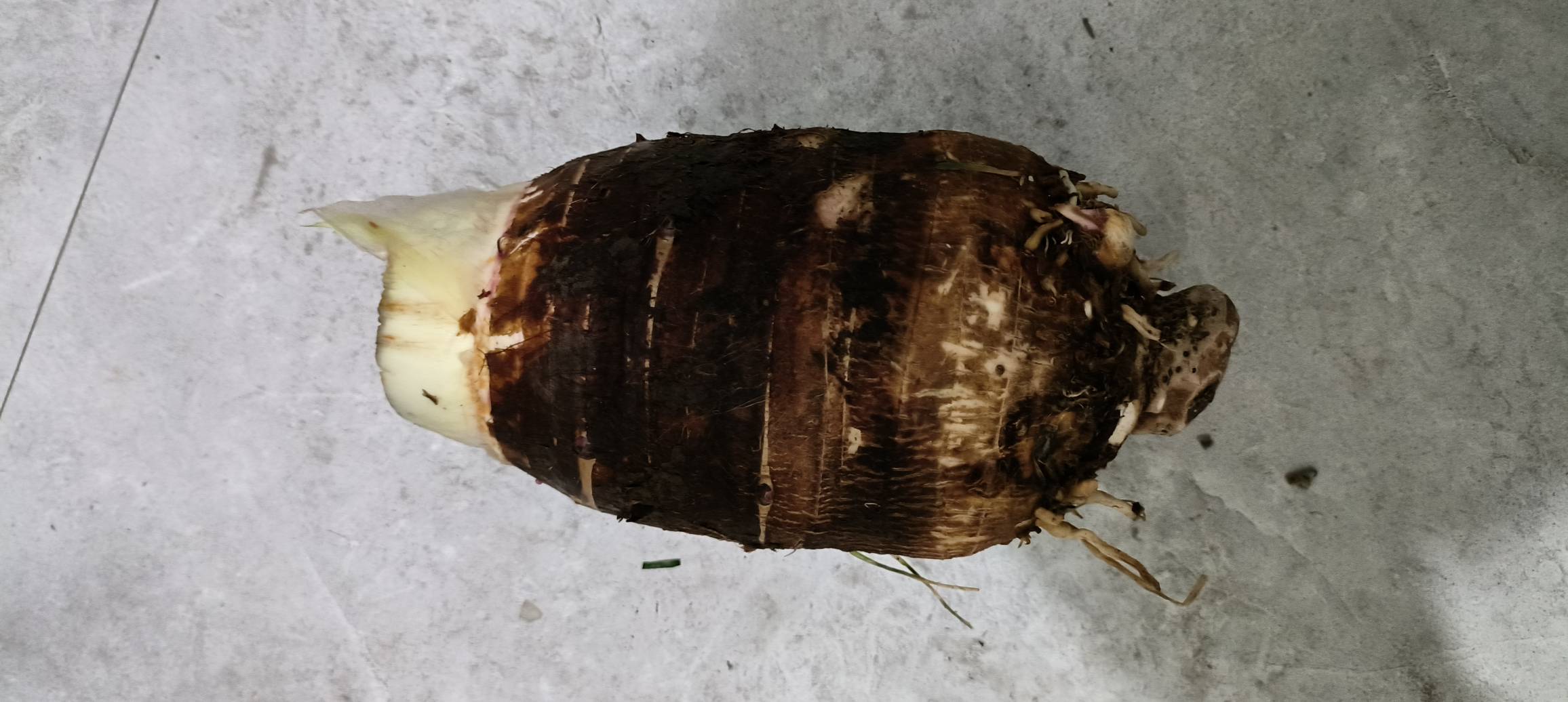 图片说明: 煮好的水簕芋水呈乳白色,带有淡淡清香 毛芋头成品图