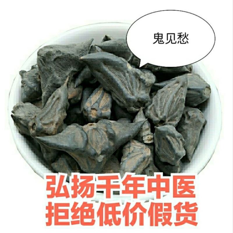 中药材鬼见愁菱角壳菱角干菱角乌菱壳风菱角正