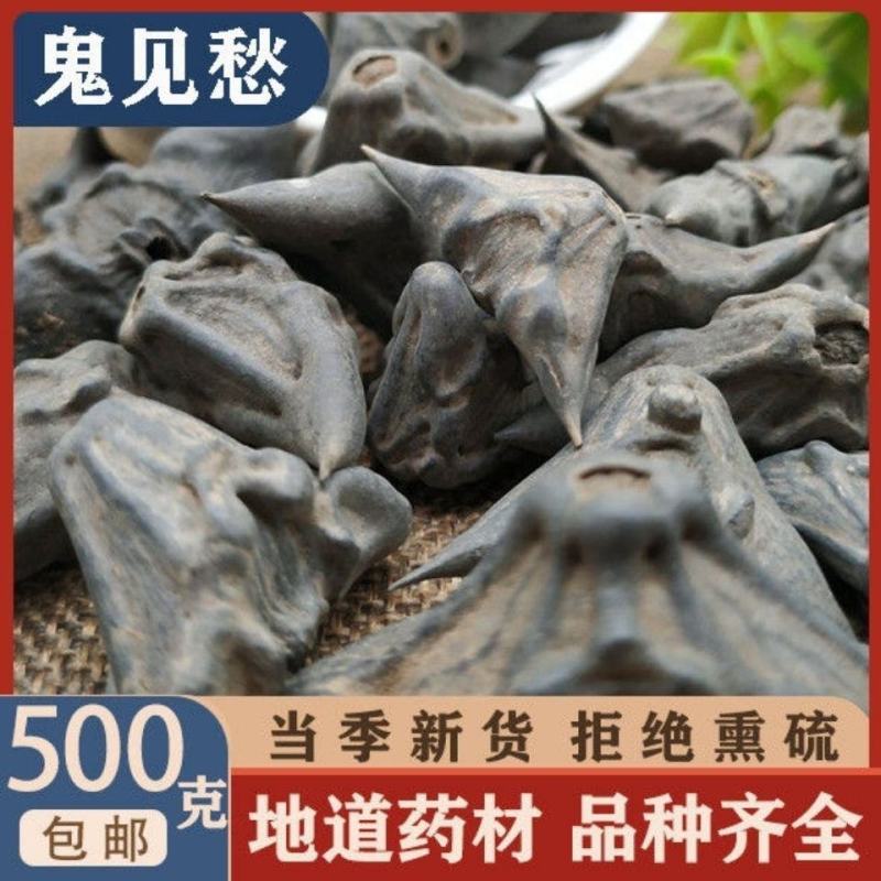 中药材鬼见愁菱角壳菱角干菱角乌菱壳风菱角正