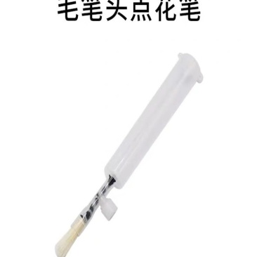 番茄西红柿点花笔授粉笔西红柿茄子点花神器涂抹笔抹花器抹花