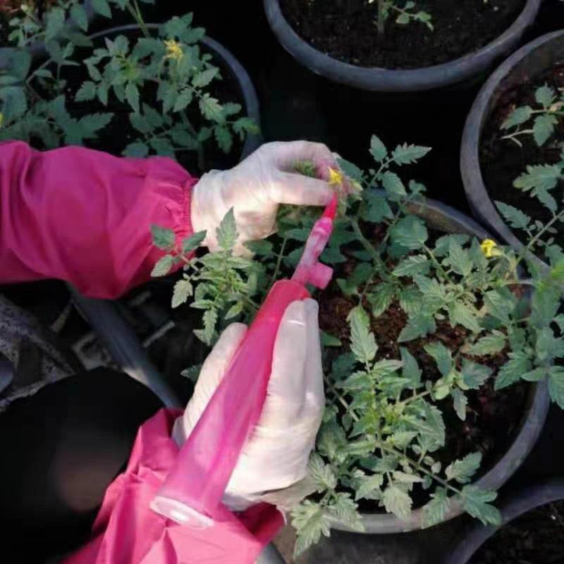 西红柿授粉笔番茄点花笔西红柿茄子神器涂抹笔抹花器番茄抹花