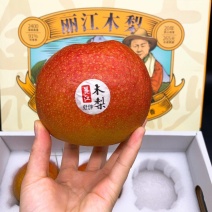 丽江雪木梨，产地直发，品质保证，量大从优，可视频看货