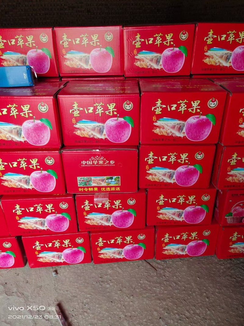 红富士苹果已大量上市，需要的私聊