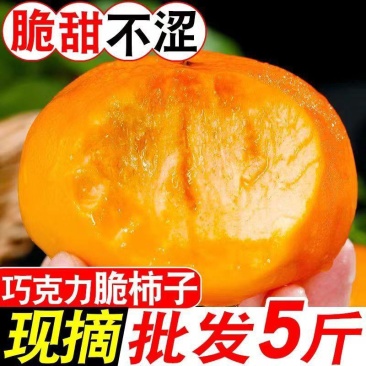 【现摘现发】整箱新鲜巧克力脆柿子脆甜应季孕妇水果硬柿子无