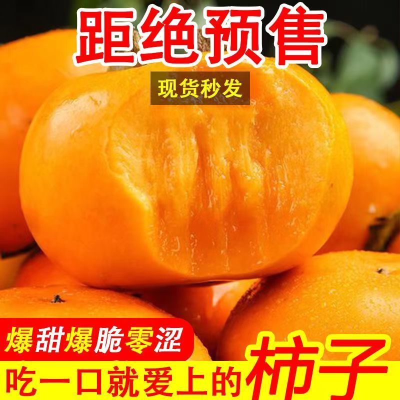 【现摘现发】整箱新鲜巧克力脆柿子脆甜应季孕妇水果硬柿子无