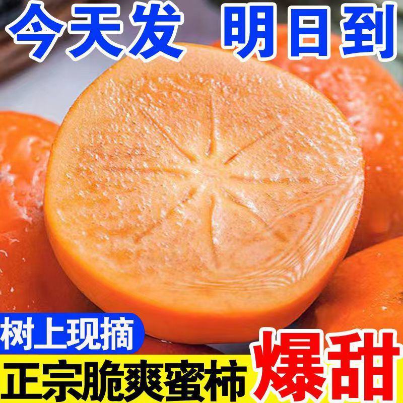 【现摘现发】整箱新鲜巧克力脆柿子脆甜应季孕妇水果硬柿子无