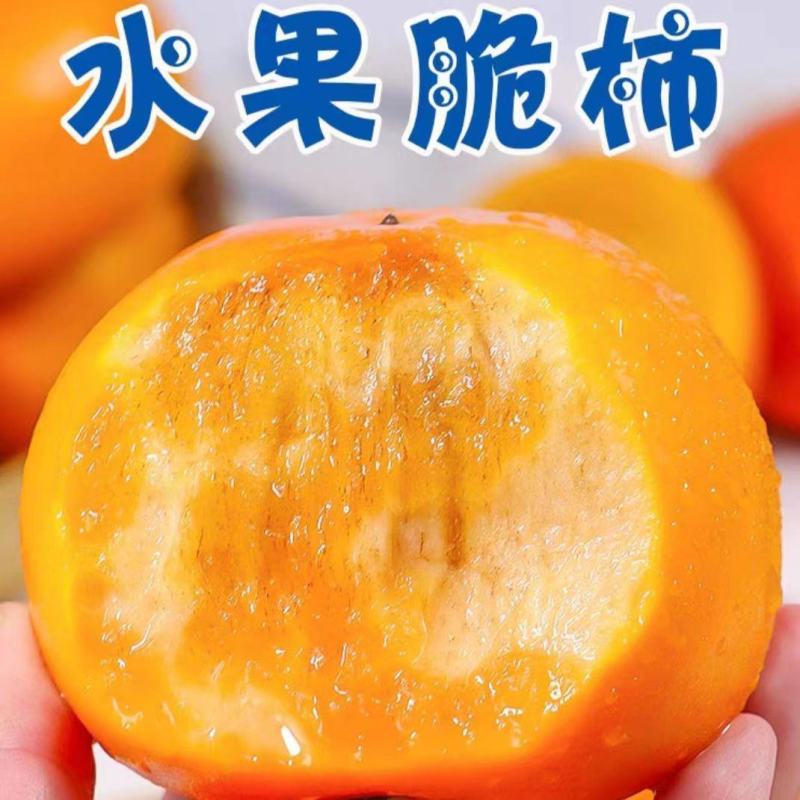 【现摘现发】整箱新鲜巧克力脆柿子脆甜应季孕妇水果硬柿子无