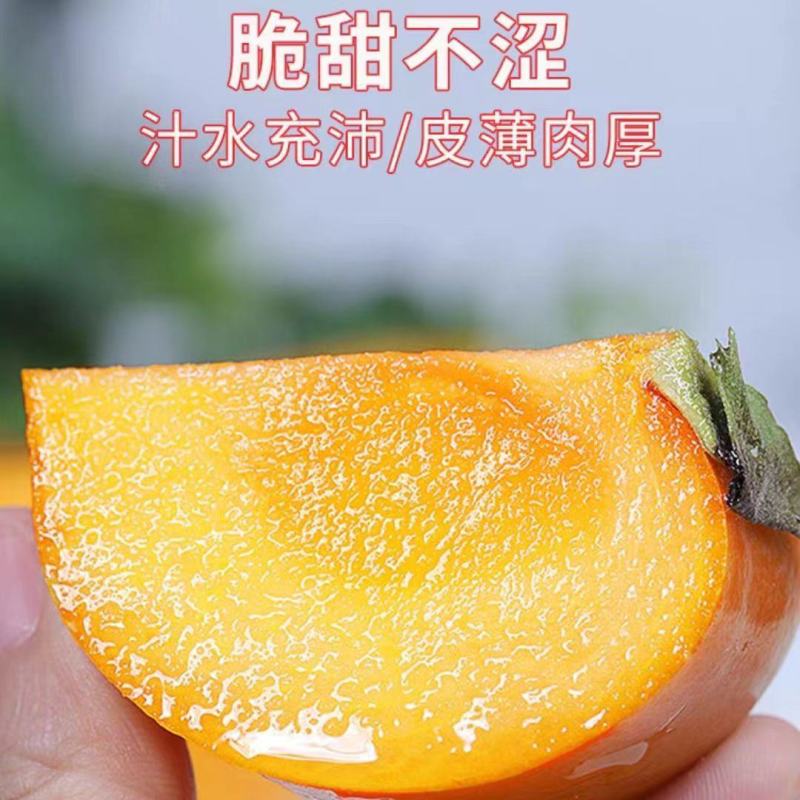 【现摘现发】整箱新鲜巧克力脆柿子脆甜应季孕妇水果硬柿子无