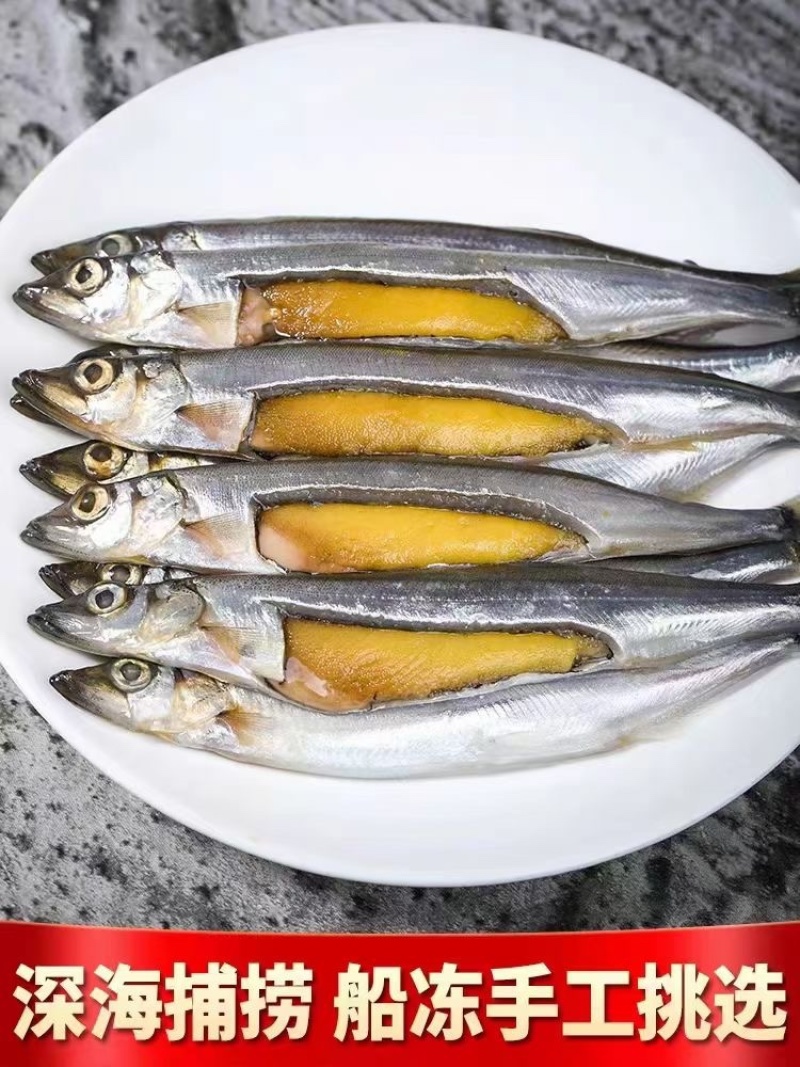 多春鱼新鲜多籽鱼冷冻烧烤商用冰鲜特大带籽即食海鲜水产鱼籽