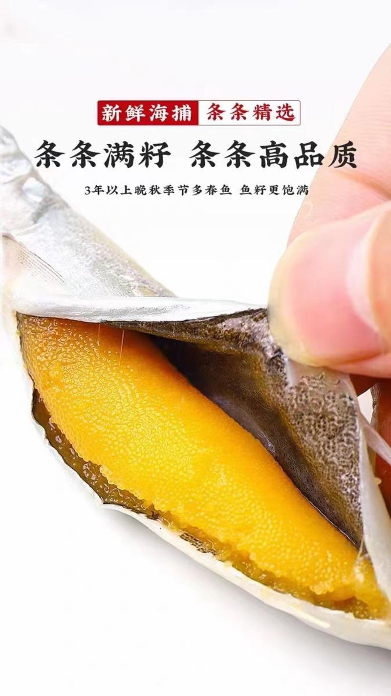 多春鱼新鲜多籽鱼冷冻烧烤商用冰鲜特大带籽即食海鲜水产鱼籽