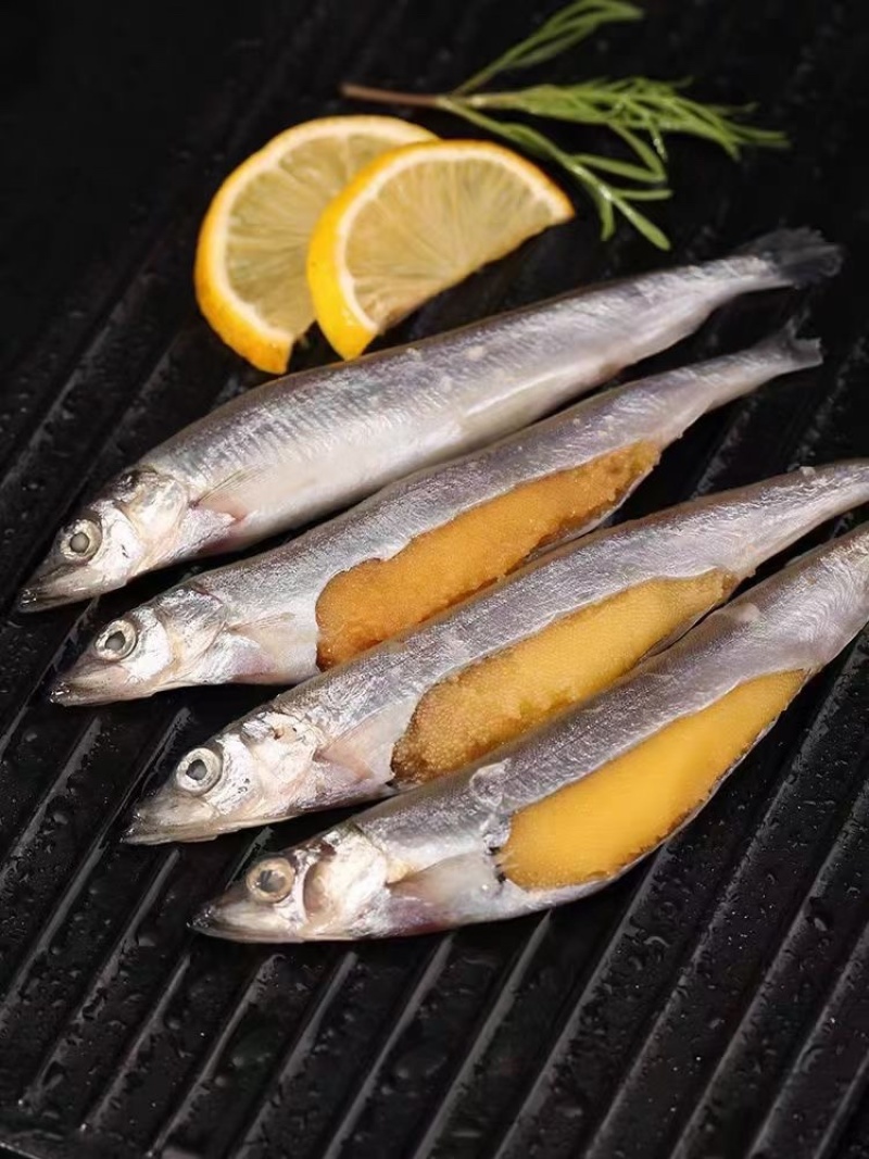 多春鱼新鲜多籽鱼冷冻烧烤商用冰鲜特大带籽即食海鲜水产鱼籽
