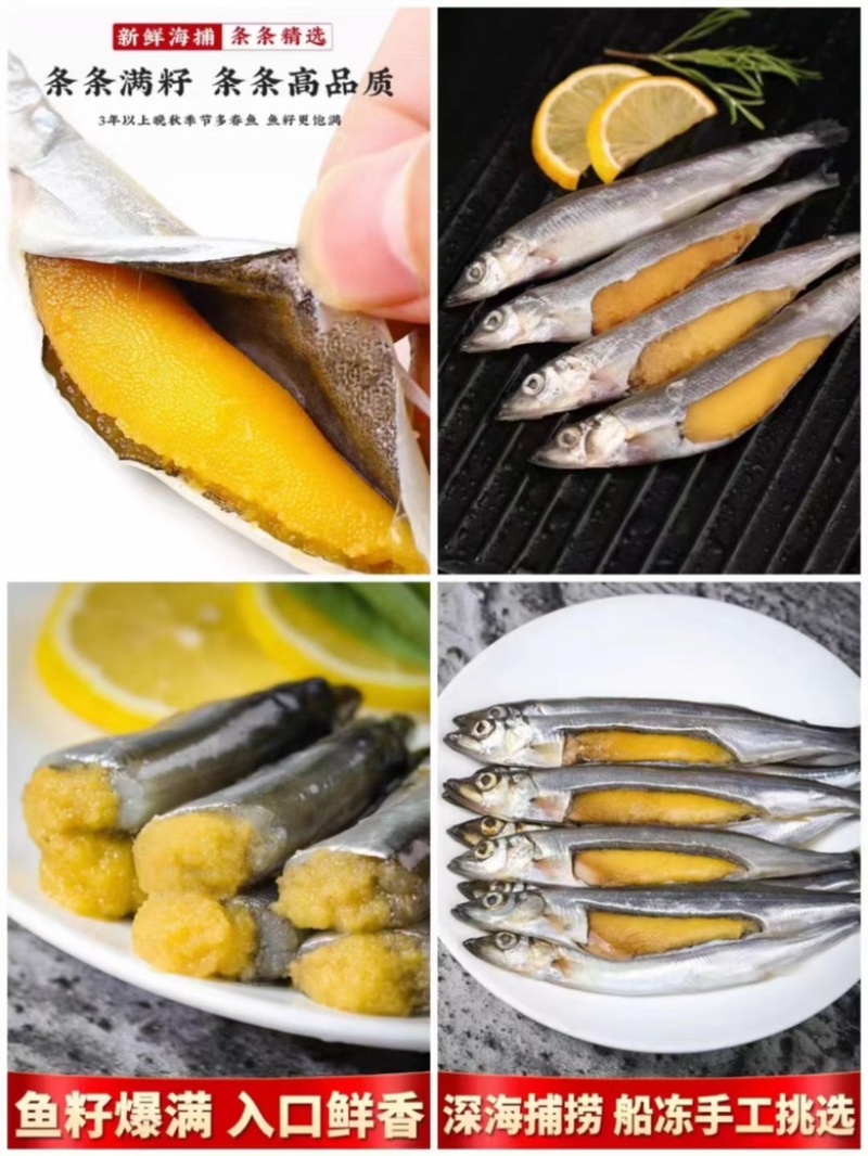 多春鱼新鲜多籽鱼冷冻烧烤商用冰鲜特大带籽即食海鲜水产鱼籽