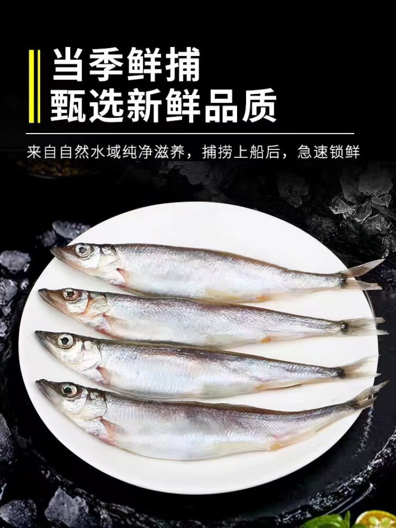 多春鱼新鲜多籽鱼冷冻烧烤商用冰鲜特大带籽即食海鲜水产鱼籽